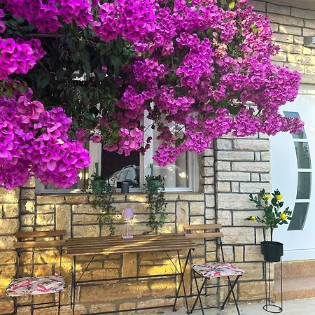 Rise Of Olympus 公寓 *