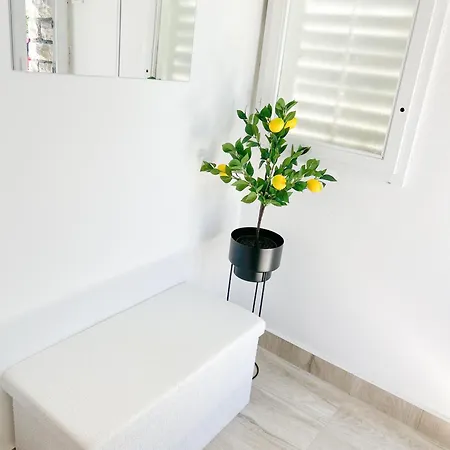 Rise Of Olympus 公寓 *