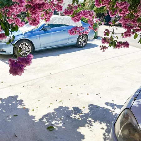 Rise Of Olympus Zadar