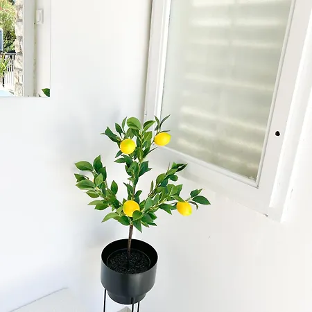 Rise Of Olympus 公寓