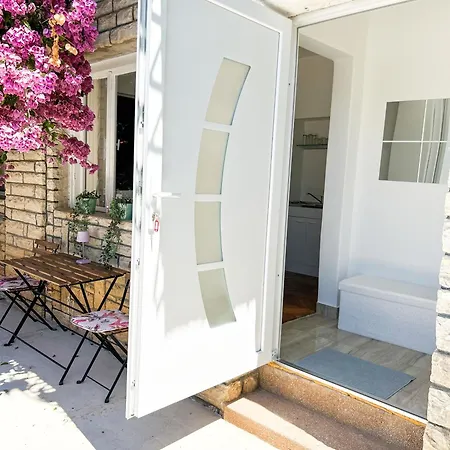 Rise Of Olympus 扎达尔